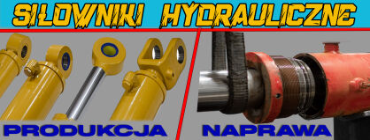 Regeneracja Naprawa SIŁOWNIKÓW SIŁOWNIKA hydraulicznego DIAGNOZA - PRZEGLĄD